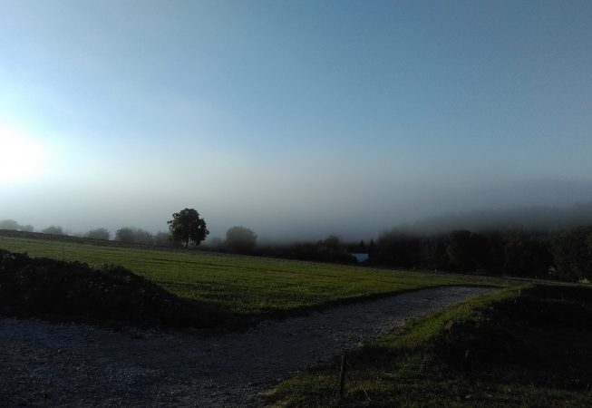 poranne mgły - widok z tarasu